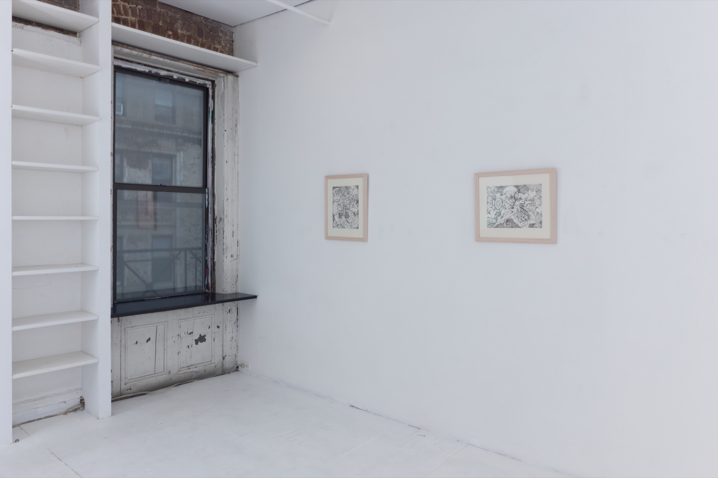 Installation view 6