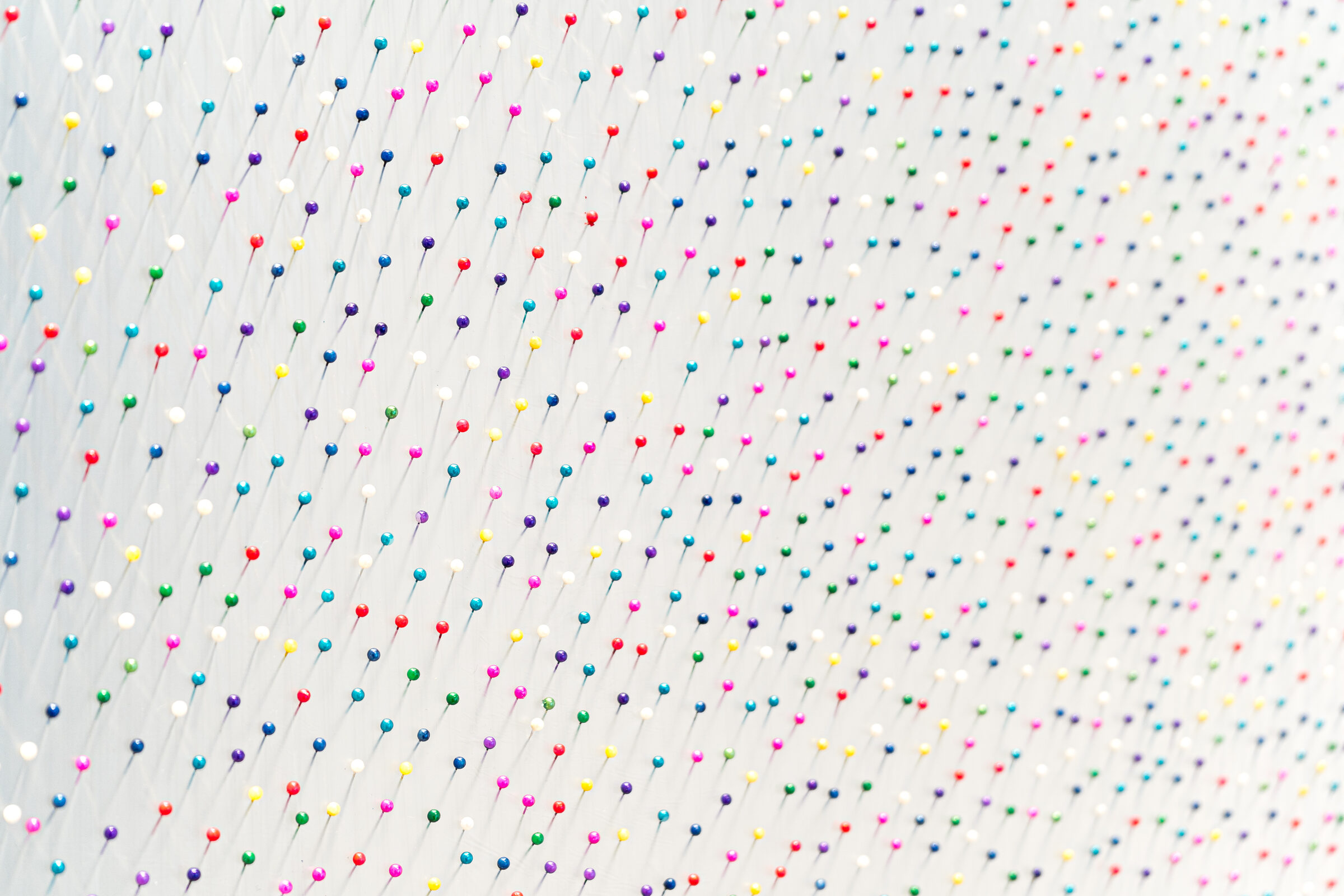 Installation view 5