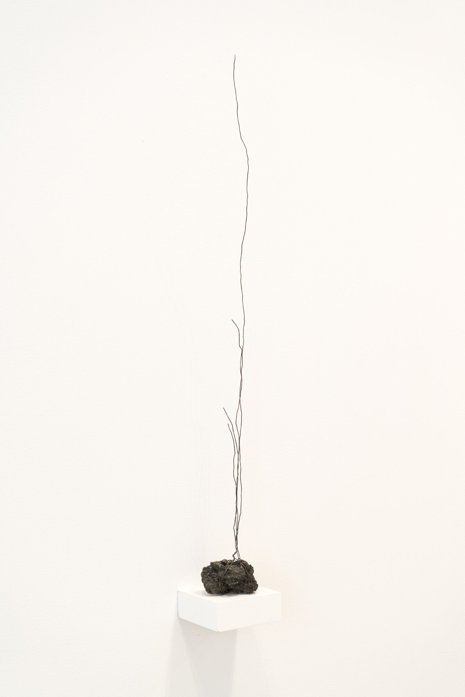 Installation view 2