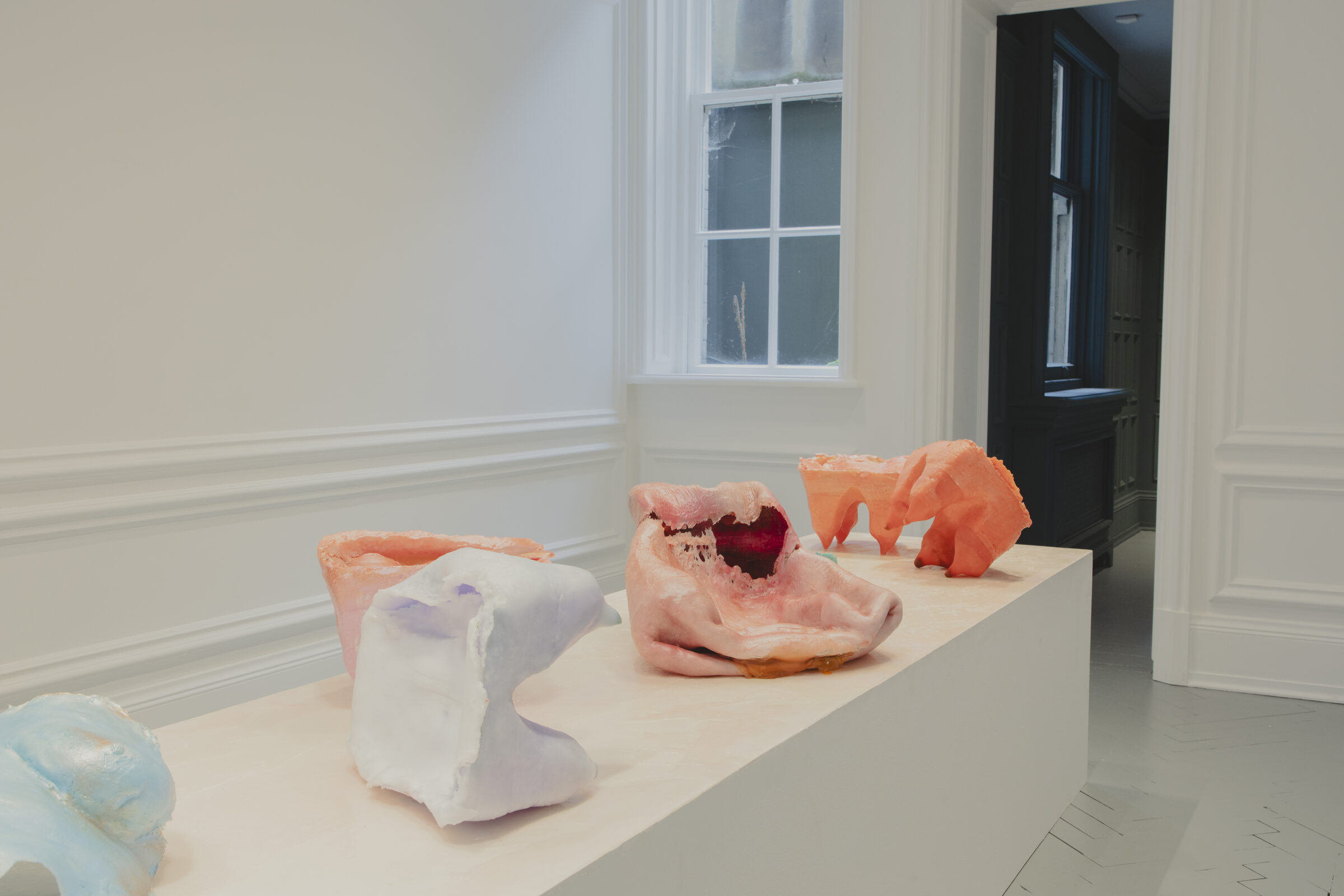Installation view 5