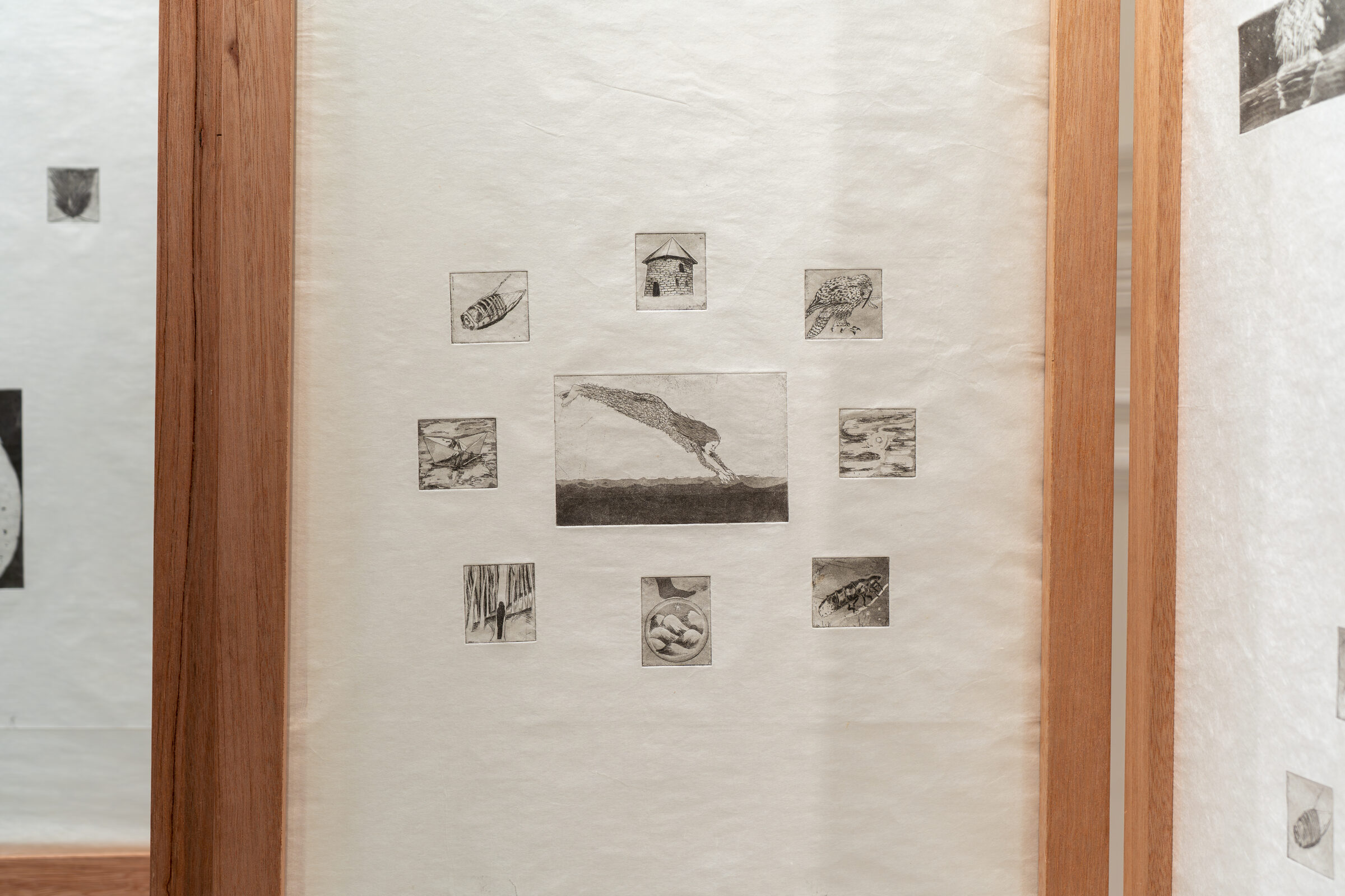 Installation view 6