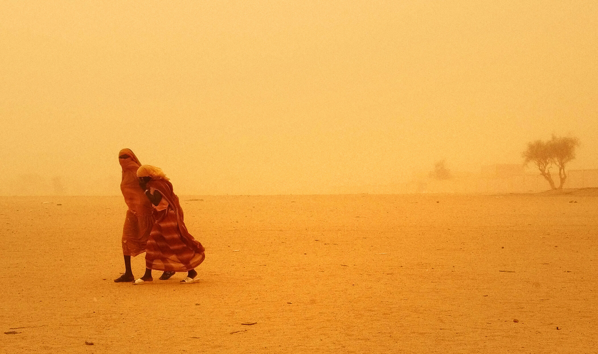 Lines in the Sand — Lines in the Sand