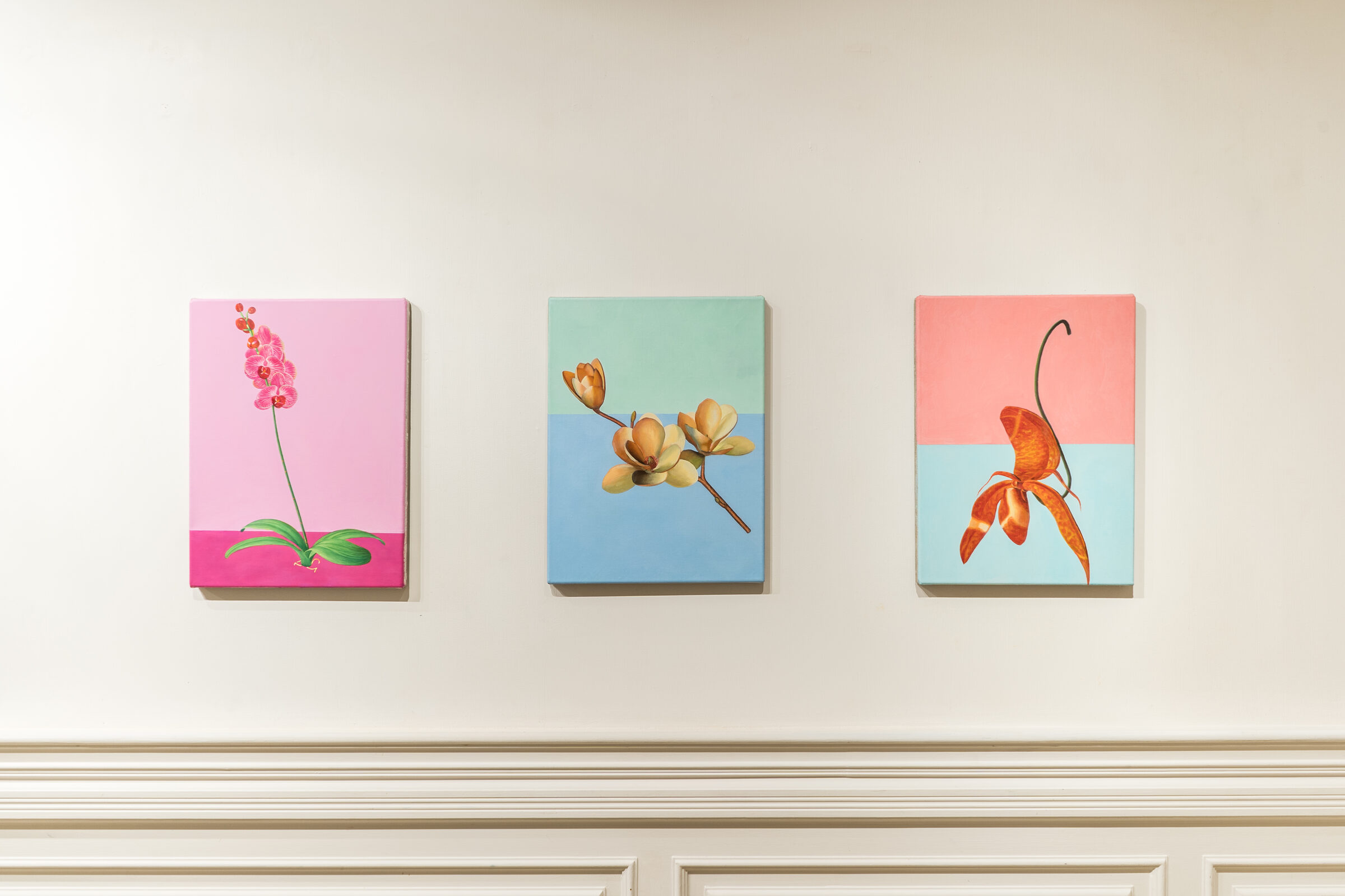 Installation view 2
