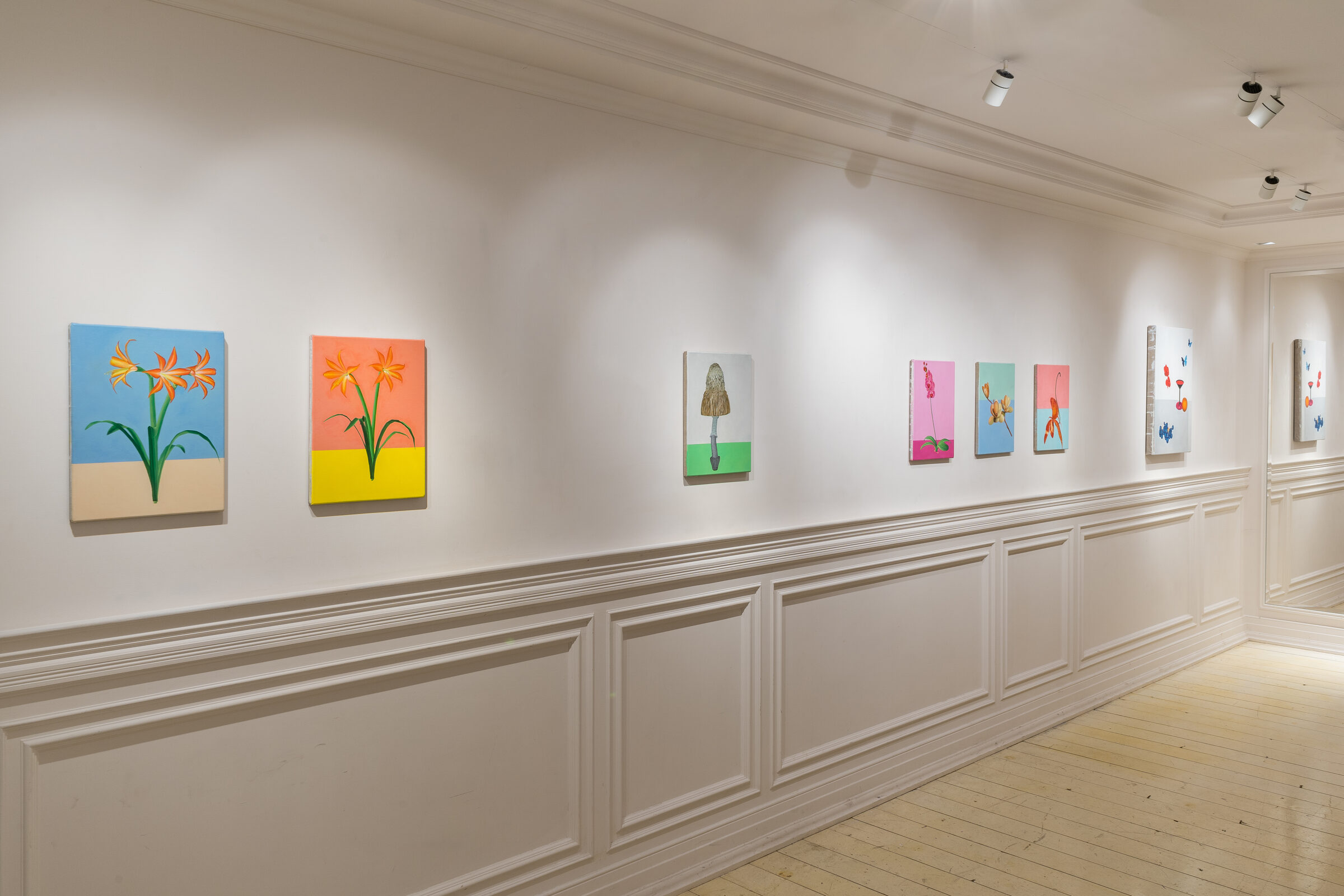 Installation view 3