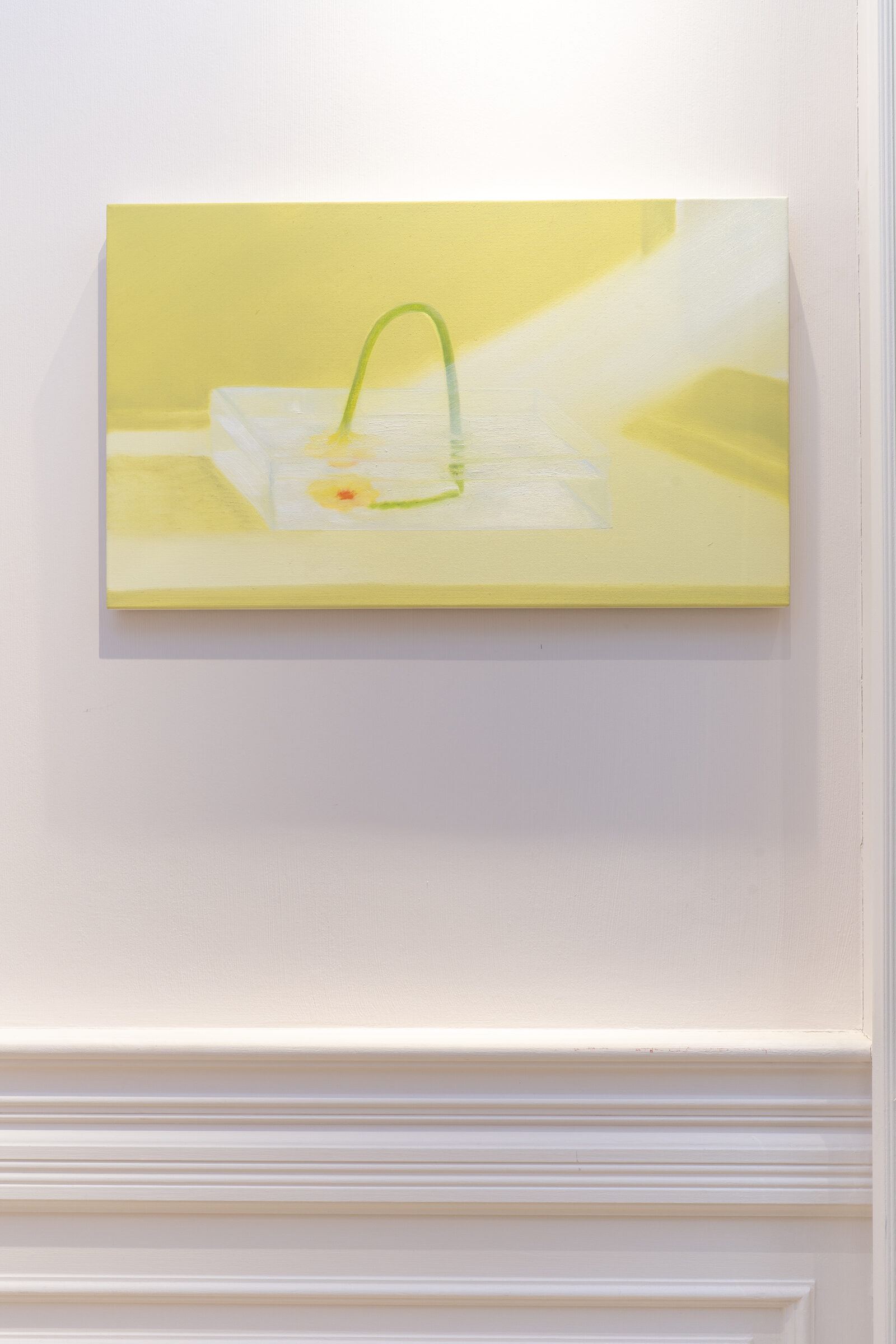 Installation view 4