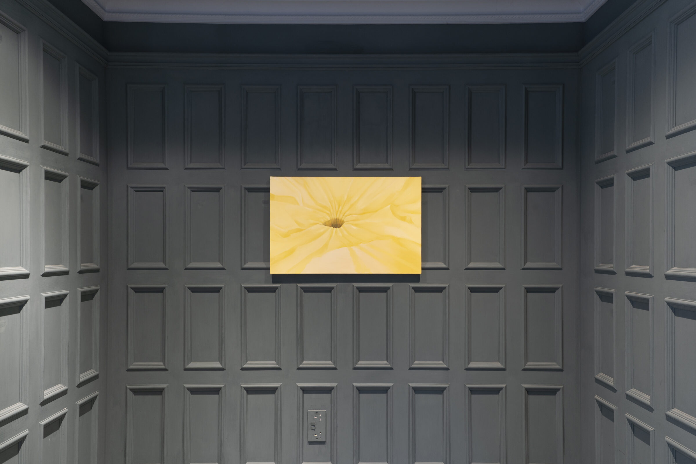 Installation view 5
