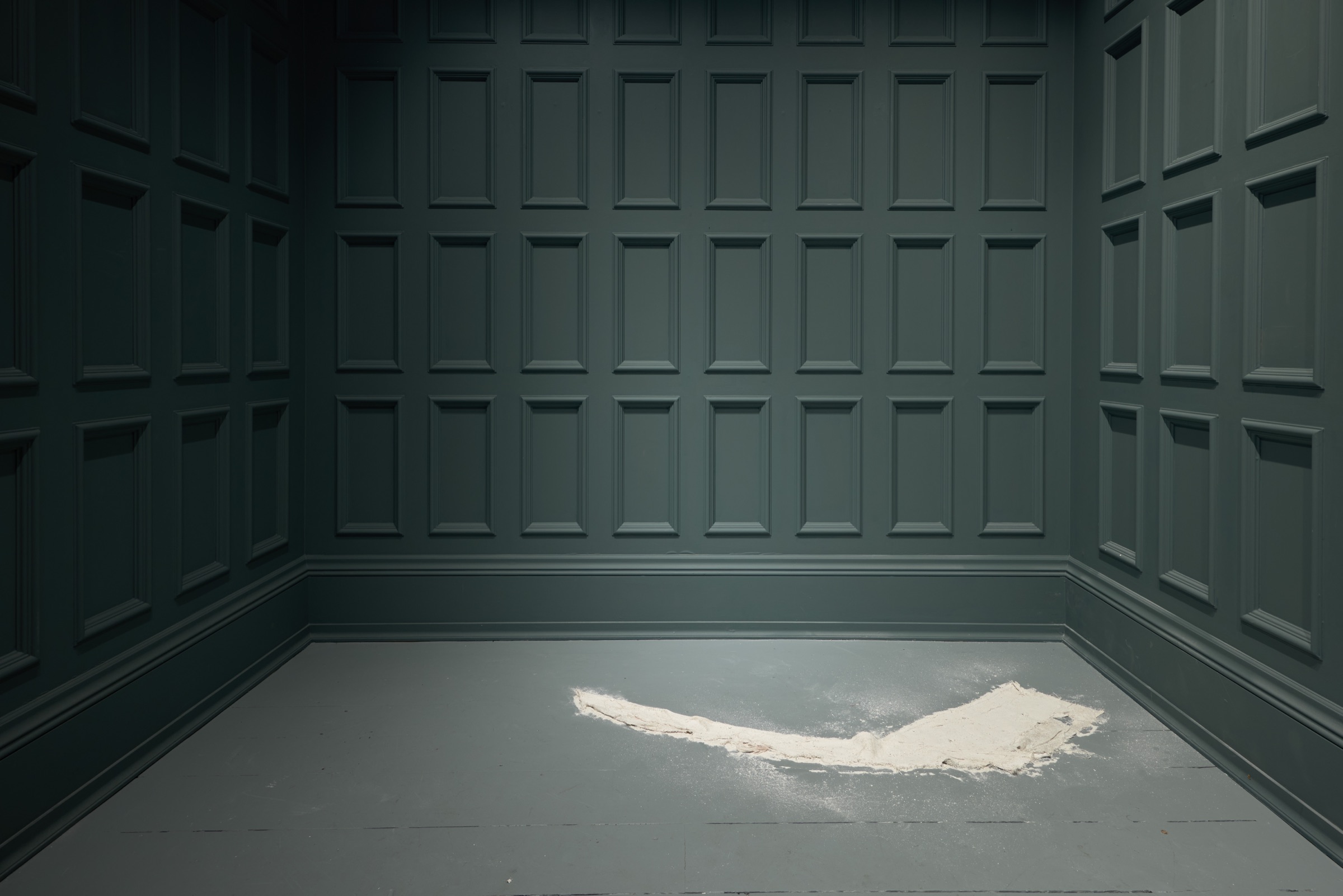 Installation view 5