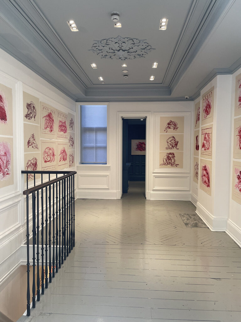 Installation view 1