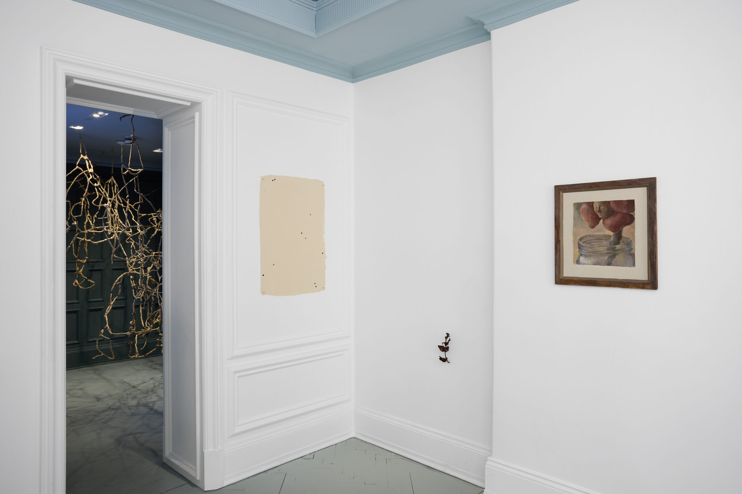 Installation view 5
